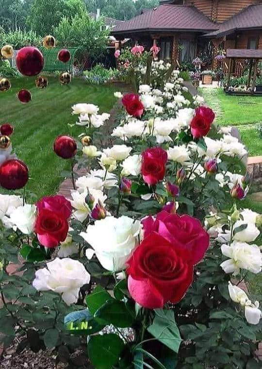 Flowering garden beds at a residential property